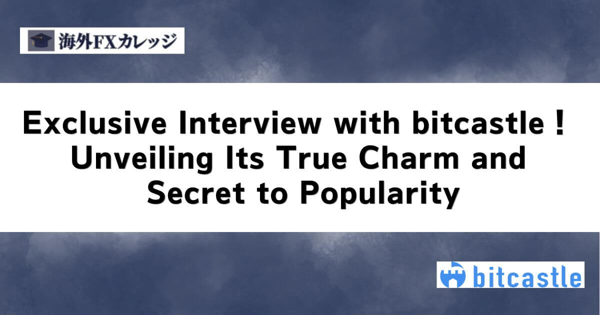 Exclusive Interview with bitcastle!Unveiling Its True Charm and Secret to Popularity
