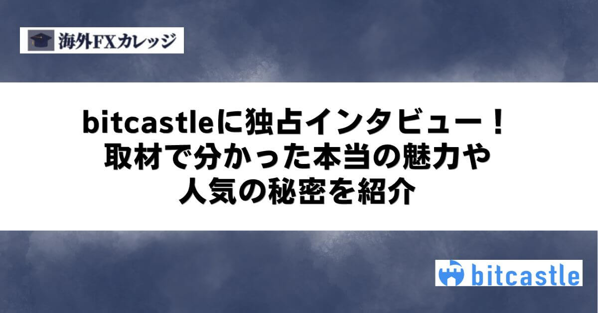 bitcastleに独占インタビュー！取材で分かった本当の魅力や人気の秘密を紹介