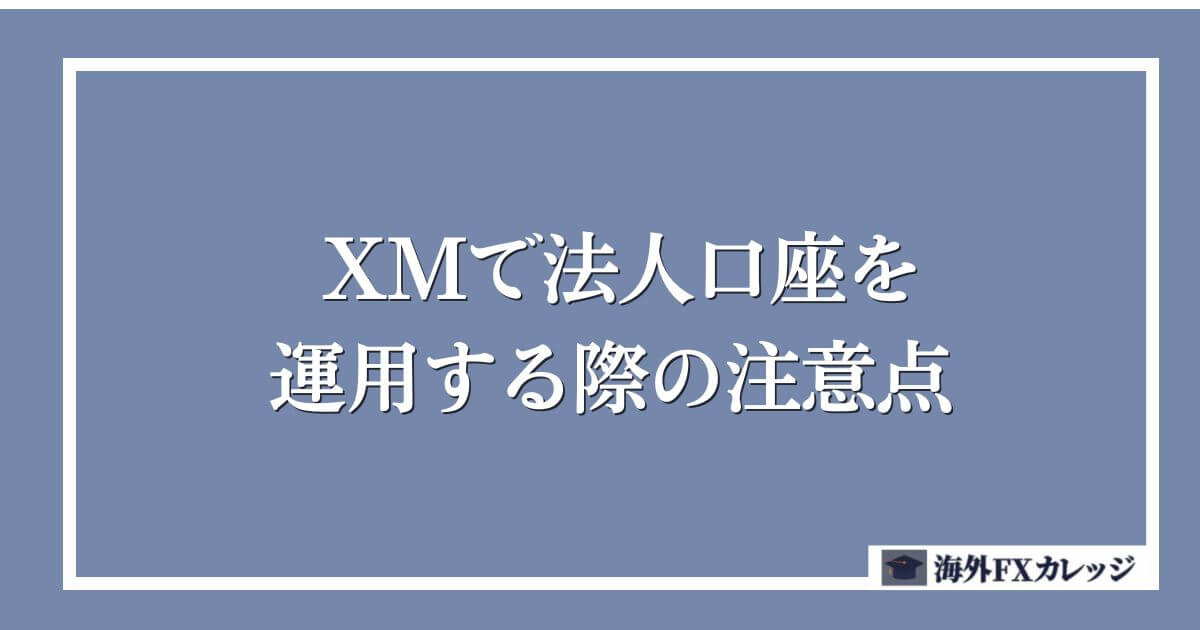 XMで法人口座を運用する際の注意点