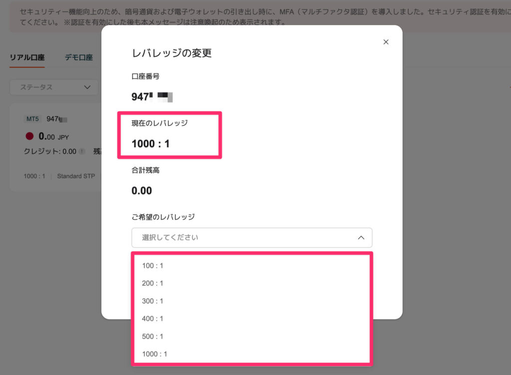 vantage: レバレッジ選択